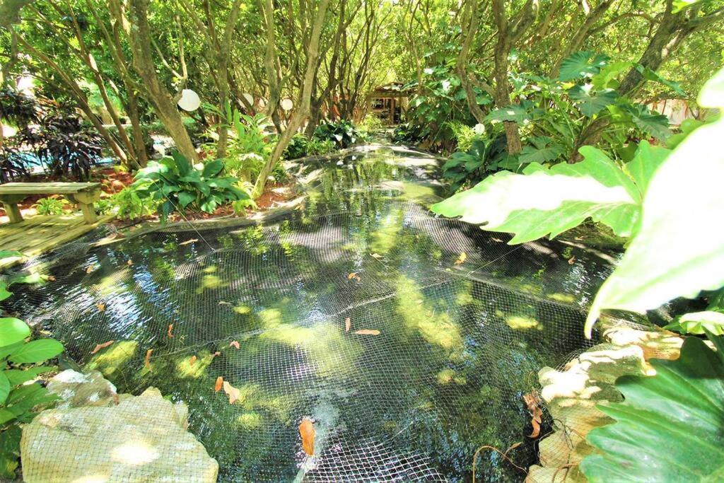 Вилла Magical Wonderkoi House In A Japanese Koi Garden Майами Экстерьер фото